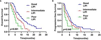 Value of the lung immune prognostic index in patients with advanced small cell lung cancer treated with programmed death-ligand 1 and programmed death-1 inhibitors in the Chinese alpine region